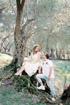 Man stands near the roots of an olive tree on which a woman sits. High quality photo