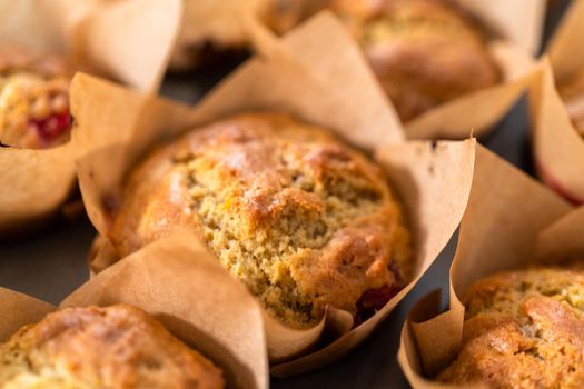 Freshly baked cranberry muffins in brown paper muffin cups.