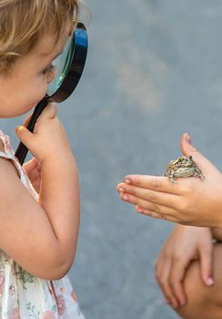 The child is playing with the frog. Selective focus. Kid.