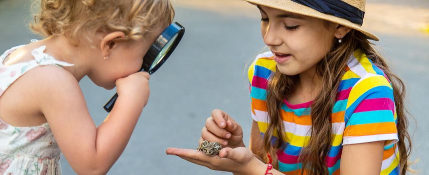 The child is playing with the frog. Selective focus. Kid.