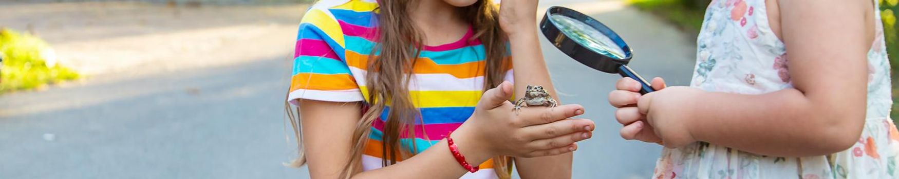 The child is playing with the frog. Selective focus. Kid.