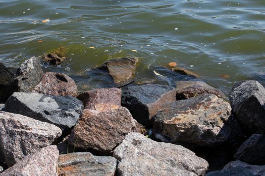 Large gray stones on the shore with waves close up