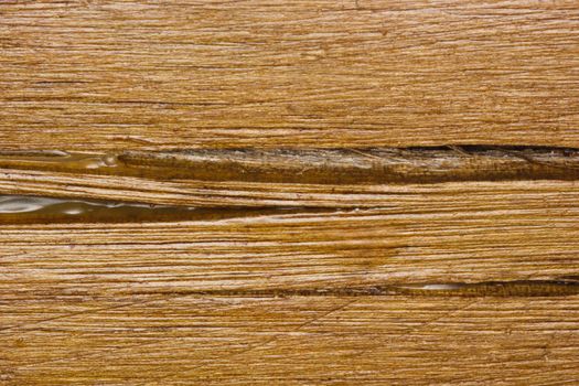 Rough wood surface texture of wax sealed blue gum wood (Eucalyptus saligna), South Africa