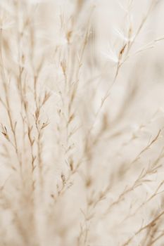 Beauty in nature, balanced lifestyle, environmental concept - Rustic autumn field