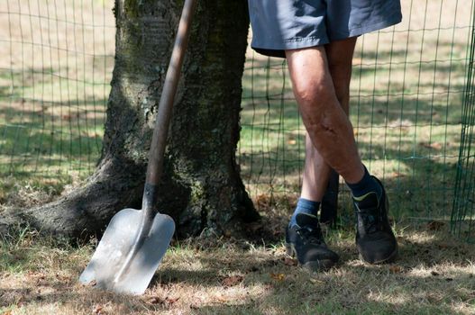 gardener in dirty work clothes and boots holds garden tools, shovel, seasonal spring work in the garden. High quality photo