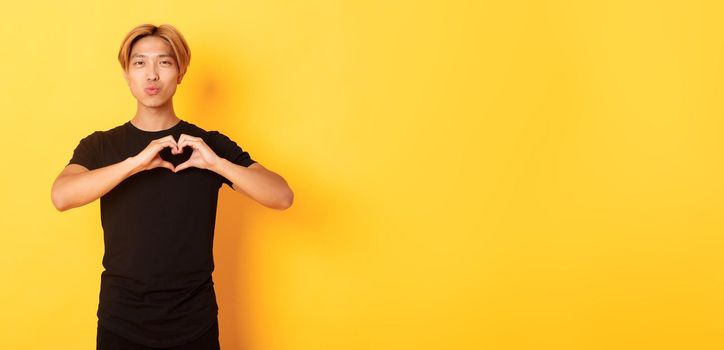 Portrait of lovely handsome blond asian man, showing heart gesture and smiling, standing yellow background.