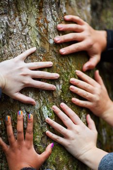 Feeling the pulse of nature. a group of unidentifiable friends putting their hands on a tree trunk