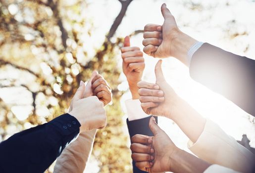 This team makes success seem easy. a group of businesspeople showing a thumbs up gesture