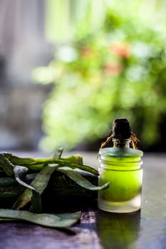 Shot of fresh raw sponge gourd or luffa herb oil in a glass container on a wooden surface.