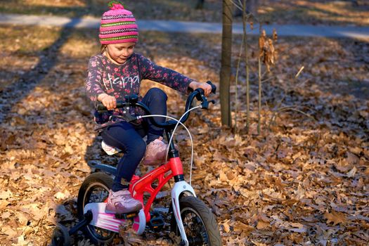 a vehicle composed of two wheels held in a frame one behind the other, propelled by pedals with handlebars attached to the front wheel. Child with a bike in the autumn park among colorful foliage.