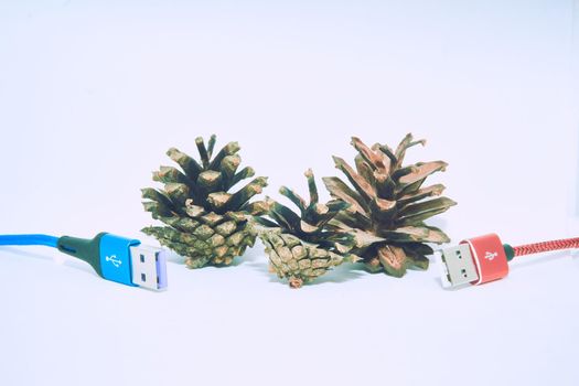 bring together or into contact so that a real or notional link is established. Two usb connecting plugs between fir cones on a white background