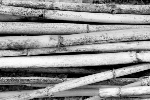 Texture and background of dry reeds on the ground