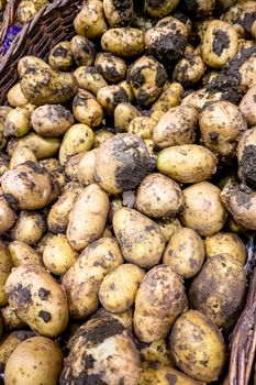 Fresh potatoes with soils for sale on the local market, natural organic vegetables background.