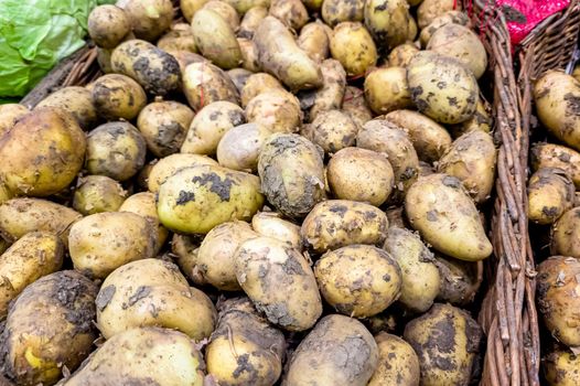 Fresh potatoes with soils for sale on the local market, natural organic vegetables background.