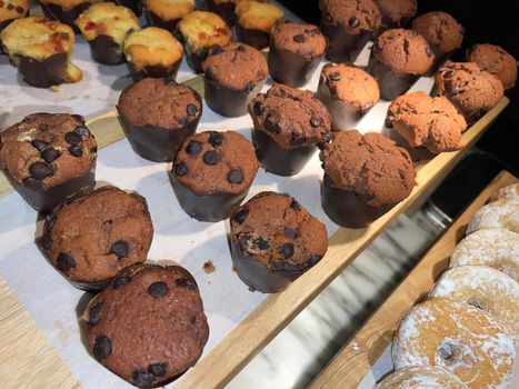 Lines of delicious chocolate and vanilla muffins Freshly baked homemade chocolate chip muffins Out of the oven muffins in muffin cups
