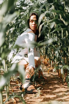 A brunette girl in a white dress in a cornfield. The concept of harvesting.
