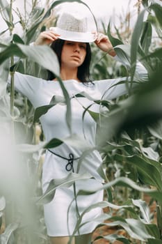 A brunette girl in a white dress in a cornfield. The concept of harvesting.