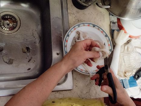 cleaning a raw adriatic cuttlefish at home in Numana, Marche, Italy