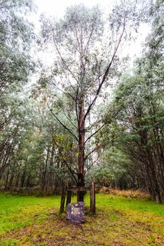 The historic and abandoned Cambarville Historic Village on Marysville Woods Point Rd near Marysville in Victoria, Australia