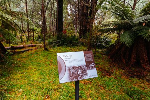 The historic and abandoned Cambarville Historic Village on Marysville Woods Point Rd near Marysville in Victoria, Australia