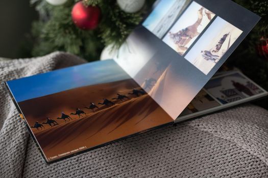 photo book about traveling near the Christmas tree.