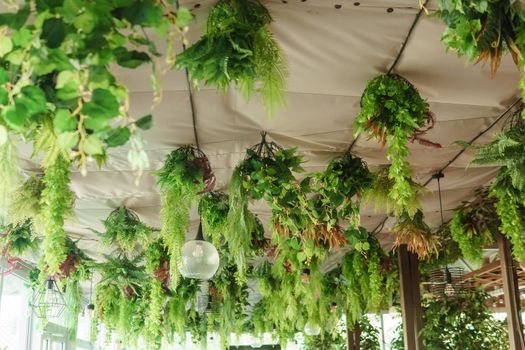 Cafe interior with elements of biophilic design. The ceiling is decorated with hanging indoor plants. The concept of biophilia.