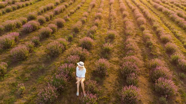 drone video of free and happy young woman run in pink and purple lavender fields at sunset.