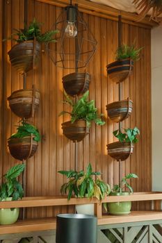 Cafe interior with elements of biophilic design. The concept of biophilia.