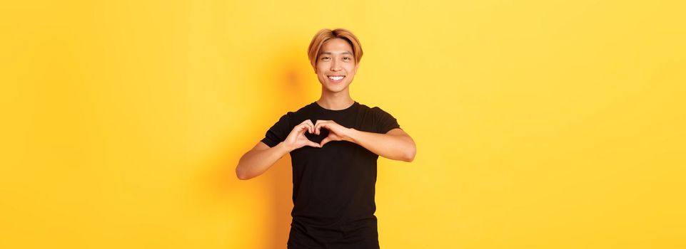 Portrait of lovely handsome blond asian man, showing heart gesture and smiling, standing yellow background.