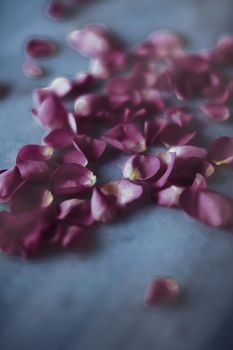 Art of flowers, wedding invitation and nature beauty concept - Rose petals on marble stone, floral background