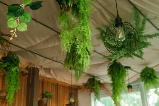 Cafe interior with elements of biophilic design. The ceiling is decorated with hanging indoor plants. The concept of biophilia.