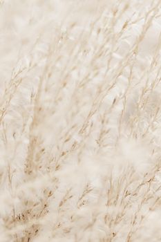 Beauty in nature, balanced lifestyle, environmental concept - Rustic autumn field