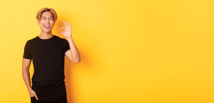 Portrait of satisfied and happy asian smiling guy, showing okay gesture in approval, winking assured, guarantee quality, yellow background.