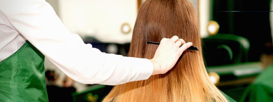 Back view of female hairdresser combing long hair of young blonde client in a beauty salon