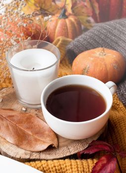 Hello fall. Cozy warm image. Cozy autumn composition, sweater weather. Pumpkins, hot black tea and sweaters on window