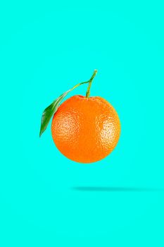 Minimal fruit concept. Whole ane orange on pastel green background.