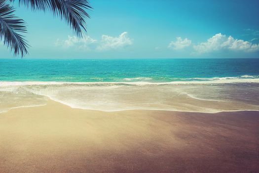 3D render of Nature tropical beach sea with palm tree and the ocean. Beautiful beach blue sea water.