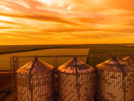 Grain elevator. Metal grain elevator in agricultural zone. Agriculture storage for harvest. Grain silos on green nature background. Exterior of agricultural factory