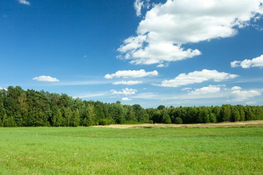 Green meadow in front of a forest and white clouds on a blue sky, summer nature landscape