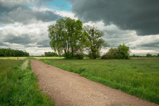 Dirt road between meadows with trees and cloudy sky, spring day