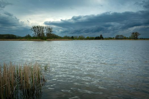 Dark evening clouds over the lake with reeds, spring view