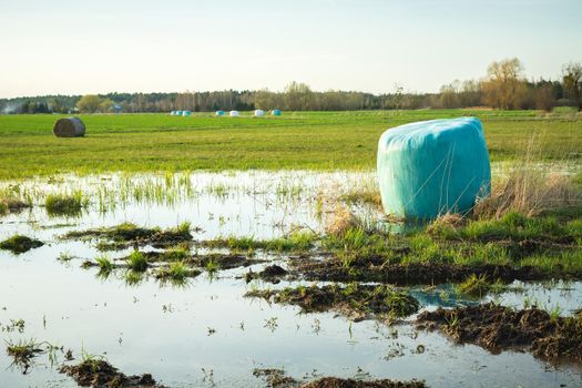 A silage bale lying in a meadow in the water, spring rural day