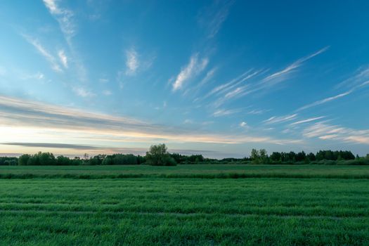 Abstract clouds after sunset over the green field, summer evening