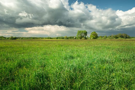 A large green meadow and fantastic clouds on a blue sky, spring day
