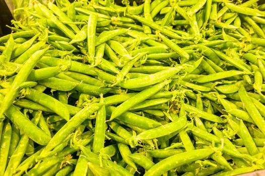 Fresh green beans on Paris farmer agricultural market.