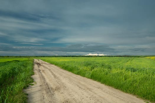 Sandy road through green fields and cloudy sky, spring view