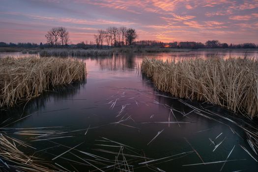 A beautiful sunset and a frozen lake with reeds, Stankow, Poland