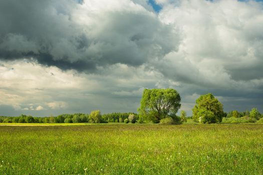 Cloudy sky over a green rural landscape, spring view