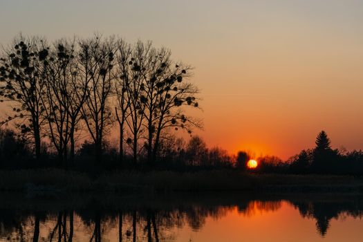 Atmospheric sunset behind trees and reflection in lake water