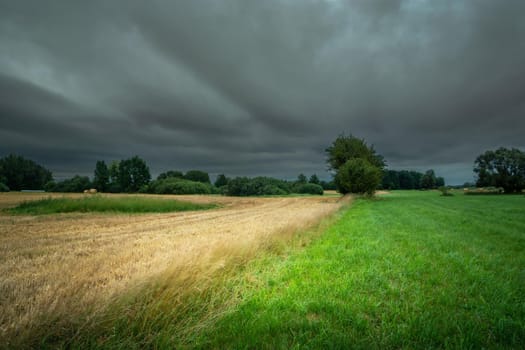 Rural landscape with fields on a cloudy summer day, Nowiny, Poland